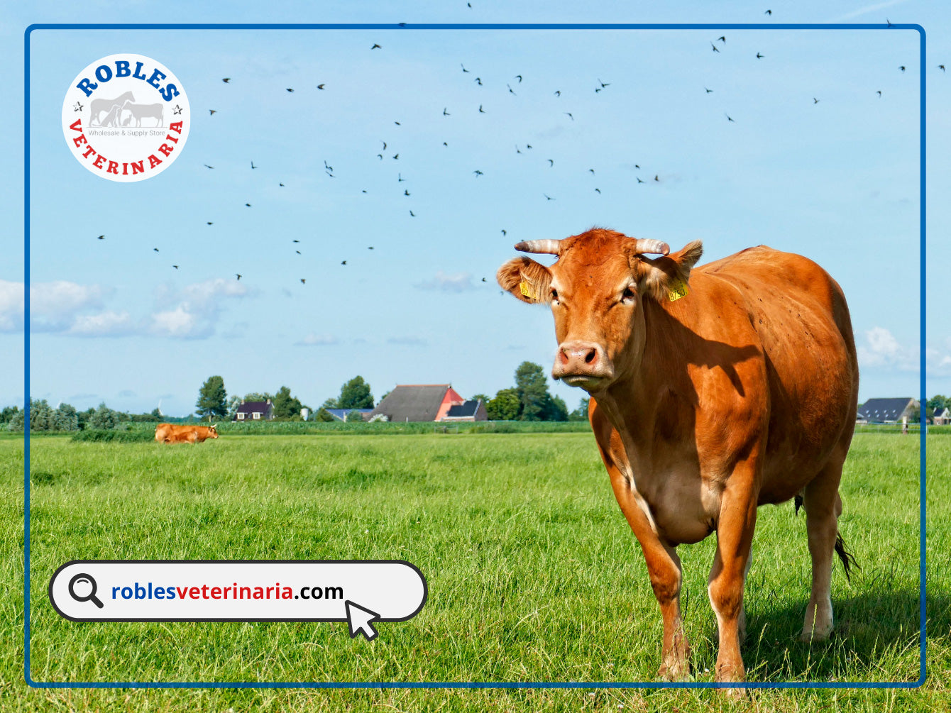 Quiénes somos - Robles Veterinaria