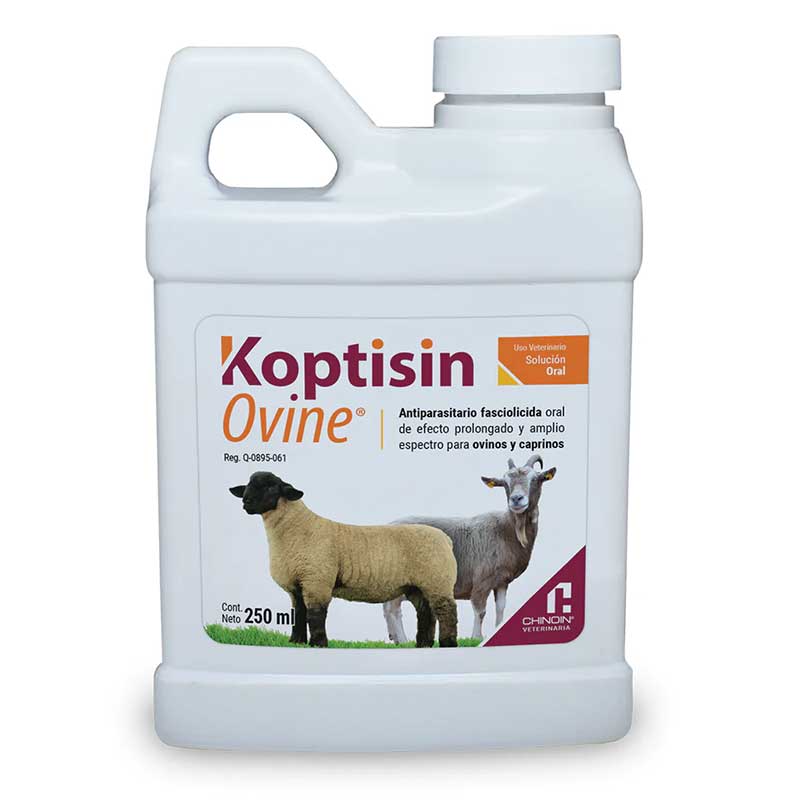 Koptisin Ovine 250 ml - Robles Veterinaria - Chinoin Veterinaria