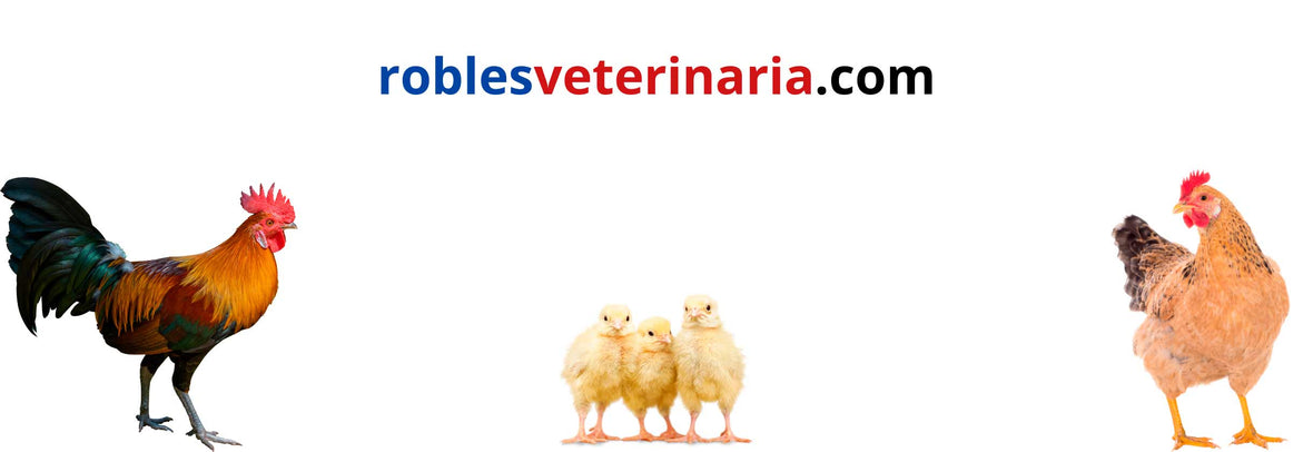 Aves - Robles Veterinaria