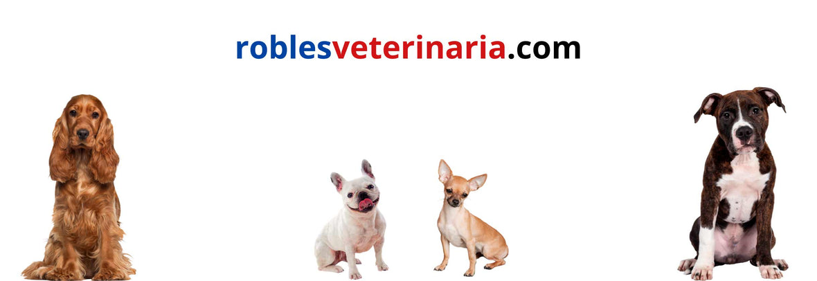 Caninos - Robles Veterinaria