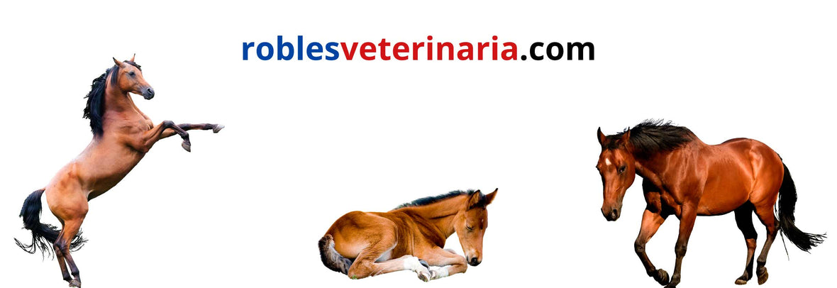 Equinos - Robles Veterinaria