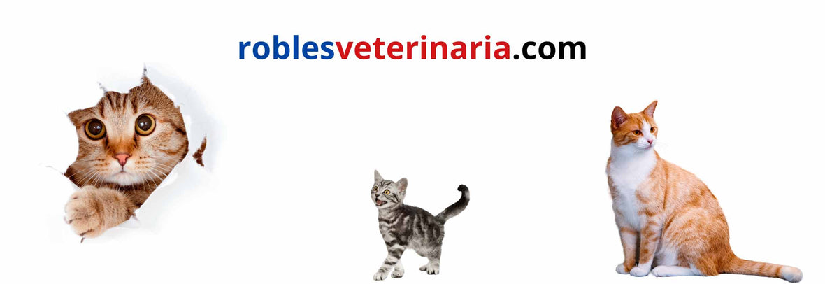 Felinos - Robles Veterinaria