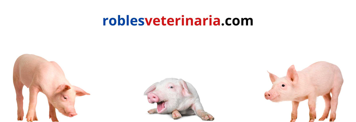 Porcinos - Robles Veterinaria