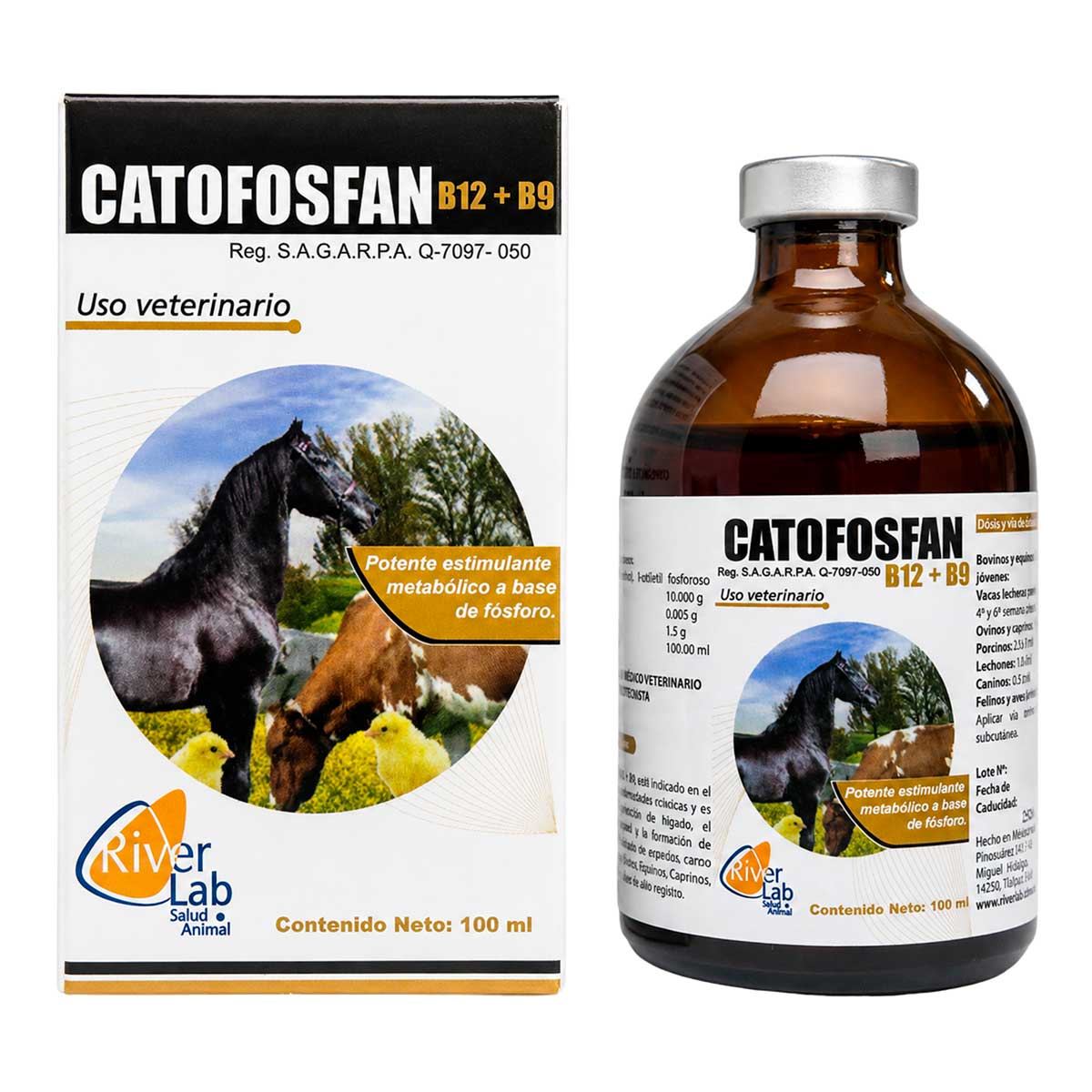 Catofosfan B12 + B9 100 ml - Estimulante Metabólico a Base de Fósforo - RiverLab
