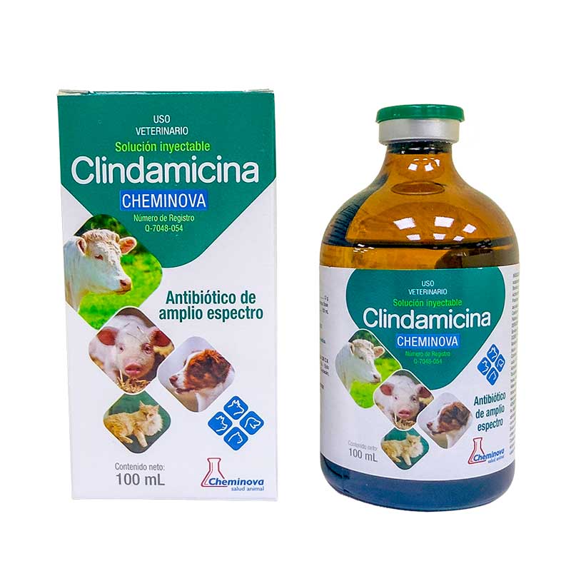 Clindamicina 100 ml - Robles Veterinaria - Cheminova