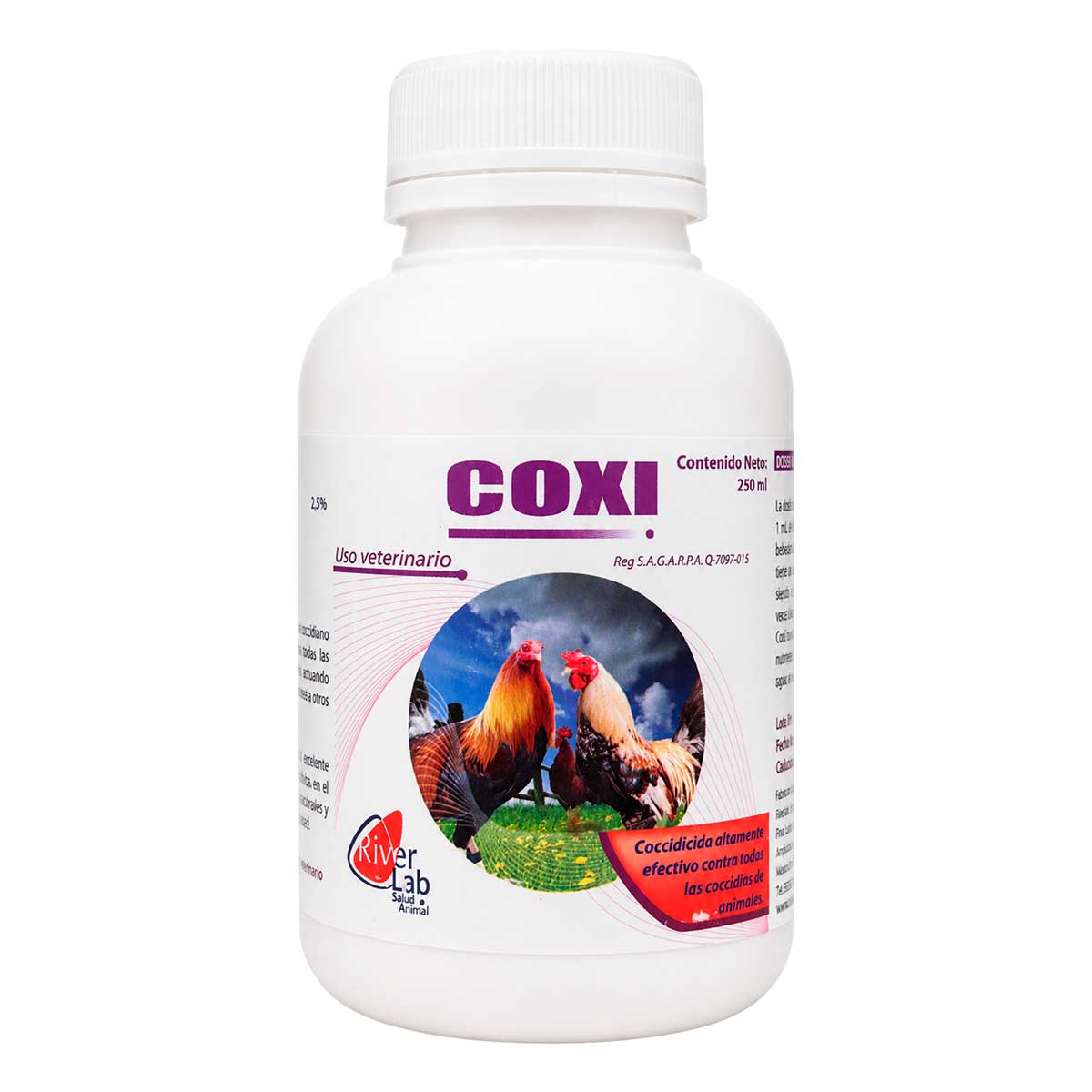 Coxi 250 ml - Solución Oral - RiverLab
