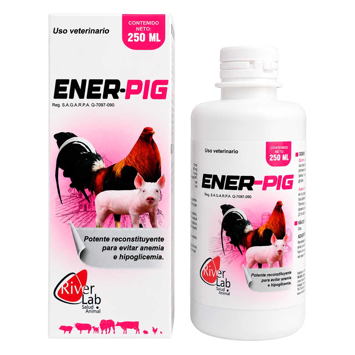 Ener Pig 250 ml - RiverLab