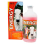 Energy 500 ml - Robles Veterinaria - Agro Salud Animal