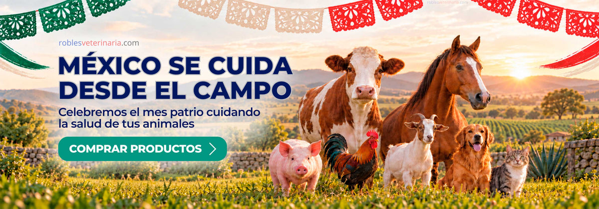 México se Cuida Desde el Campo - Celebremos el Mes Patrio Cuidando la Salud de tus Animales - Robles Veterinaria