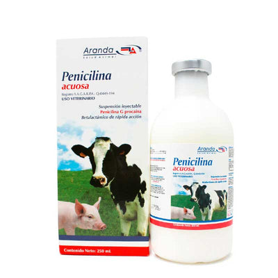 Penicilina Acuosa 250 ml - Robles Veterinaria - RiverLab